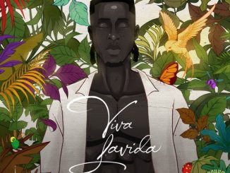 Joeboy - Viva Lavida Album