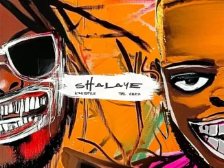 Kaestyle – Shalaye Ft. Tml Vibez