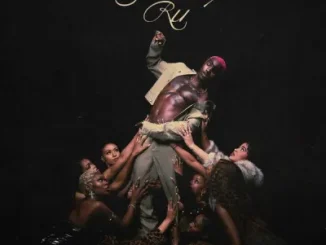 Ruger - BlownBoy RU Album