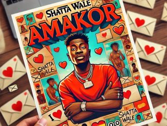 Shatta Wale – Amakor