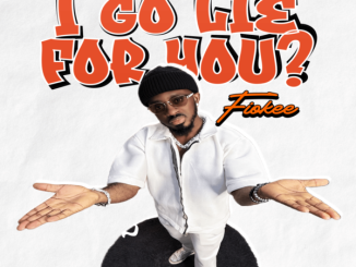 Fiokee – I Go Lie for You