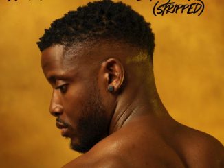 Chike - Son of Chike (Stripped)