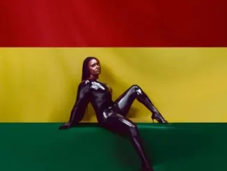 Amaarae – S.M.O