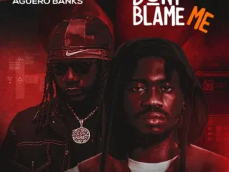 DJ IBB – Don’t Blame Me Ft. Aguero Banks