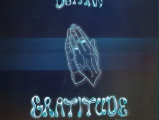 Dotman – Gratitude