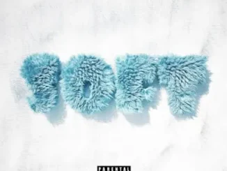 Nasty C – Soft Ft. Usimamane
