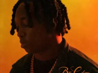Boi Chase – Sneaky Link