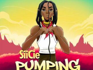 Siicie – Pumping