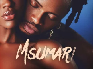 Diamond Platnumz – Msumari