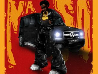 Shallipopi – Na So