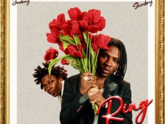 Joeboy – Ring ft. Shoday